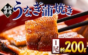 高知県産蒲焼きうなぎ ２００ｇ １尾 fb-0159