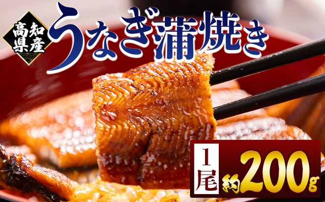 高知県産蒲焼きうなぎ ２００ｇ １尾 fb-0159