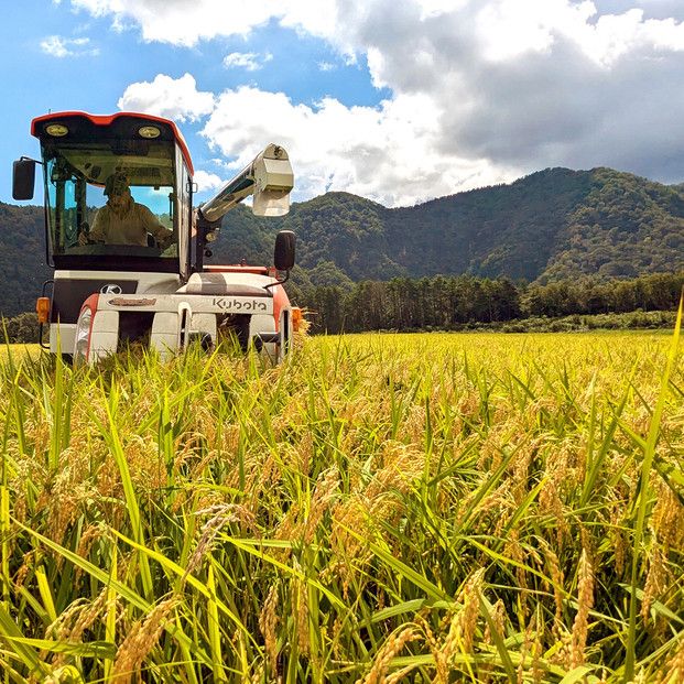 1109.令和7年産　こしひかり玄米　10kg 313726_CH004