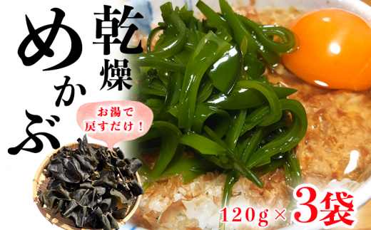 岬だよりのコリコリ食感・粘り抜群の乾燥めかぶ　120g×3袋