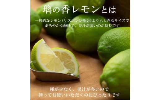 【先行予約】レモン 約5kg 12～25個〈2026年10月下旬～12月上旬頃発送〉  / 璃の香レモン 果物 くだもの 柑橘 フルーツ れもん お取り寄せ 産地直送 おいしい 美味しい 白木果樹園 常温 配送 高知県 高知 土佐市【白木果樹園】 [BQAI026]