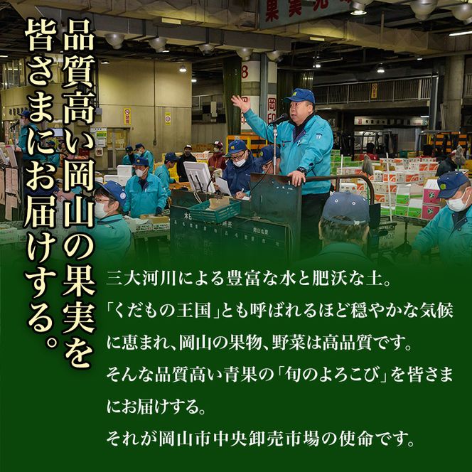 フルーツ 定期便 2026年 先行予約 フルーツ王国 岡山 厳選 果物 （7月 9月 10月）3回コース 桃 もも 葡萄 ぶどう 岡山県産 国産 セット ギフト ニューピオーネ シャインマスカット 晴王 旬の果物 