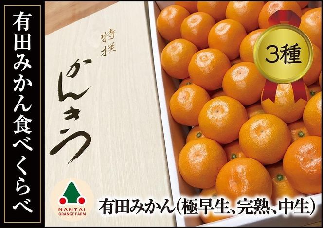 定期便 有田みかん 食べくらべ 3種 化粧箱 各約 3kg 南泰園 全3回 2024年 10月 発送開始 	BS800