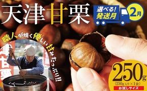 〈2026年2月発送〉【お試し】この道50年の職人が焼く、やさしい甘みたっぷりの「天津甘栗」250g！ 焼きたて 栗 くり 栗爪 殻付き お菓子 おつまみ 人気 高リピート 小分け 栗ご飯 栗きんとん 甘露煮 H045-078_Feb