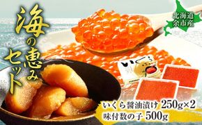 余市漁協おすすめの逸品【年末年始の贈答品・おせち料理にぴったり】本場北海道産「いくら醤油漬け500グラム」と「味付数の子（500グラム）」海の恵みセット_Y006-0039