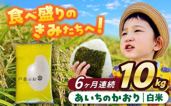 【6回定期便】あいちのかおり　白米　10kg　お米　ご飯　愛西市／株式会社戸倉トラクター[AECS008]