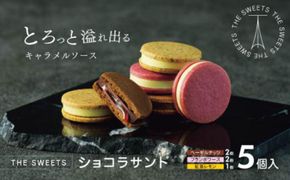 【期間限定】ザ・スウィーツ ショコラサンド(5個)｜シャディ スイーツブランド 人気セット スイーツ ［ シャディ お取り寄せ ショコラサンド 人気 おすすめ ナッツ ラズベリー 紅茶 レモン ギフト プレゼント 贈答 お菓子 スイーツ 通販 京都 ふるさと納税 ］ 261009_SHDYAS006
