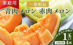 メロン 定期便 ４回 一果相伝 青肉メロン 赤肉メロン 家庭用 1玉 交互にお届け - 定期便 果物 フルーツ めろん 青肉 赤肉 自宅用 ジューシー 果汁 至福 美味しい ソーダ ケーキ 篤農 産地直送 高知県 香南市 Wtn-0048