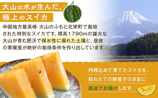 【先行予約】鳥取県北栄町産 金色羅皇スイカ(2玉セット)１玉あたり7-9キロ前後（こちらの返礼品は、大栄西瓜ではありません） 313726_CK010