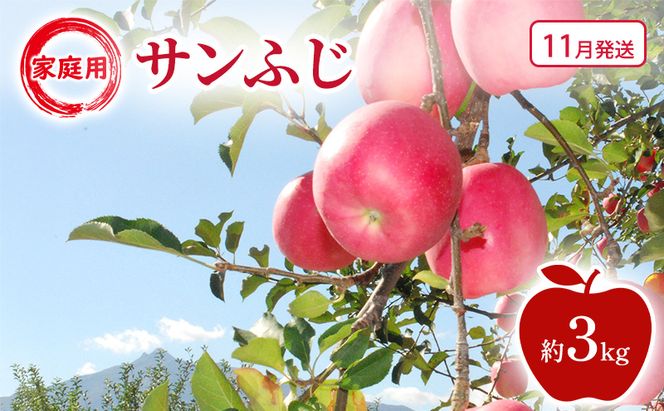 【11月発送】家庭用 サンふじ 約3kg 果物類 フルーツ 林檎 リンゴ 鶴田町 青森県 おやつ デザート