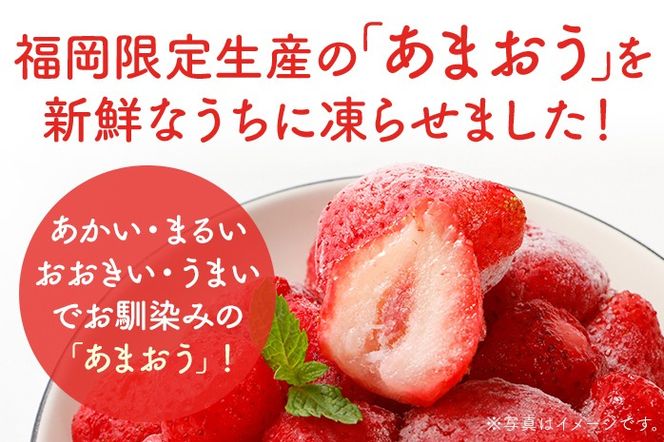 いちご 福岡県産【博多冷凍あまおう】 約2kg 産地直送 産直 朝採れ 朝