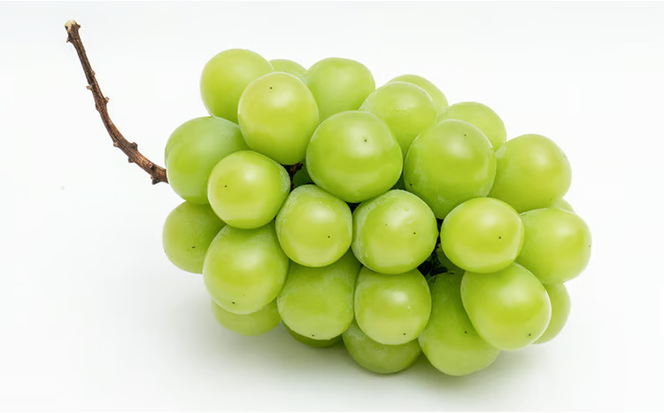 ぶどう 2026年 先行予約 シャイン マスカット 晴王 1房 700g以上 化粧箱入り マスカット ブドウ 葡萄 岡山県産 国産 フルーツ 果物 ギフト 高級ぶどう 大粒 種なし 贈答品 [№5735-1462]