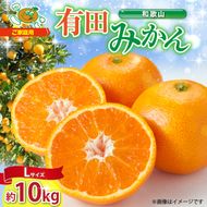 【2026年先行予約】【ご家庭用】和歌山 有田みかん 約10kg Lサイズ【湯浅町】_ZJ6091