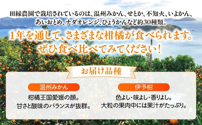 【6ヶ月定期便】田縁農園 2種みかんジュース（みかん いよかん）セット 全6回 IKTA048