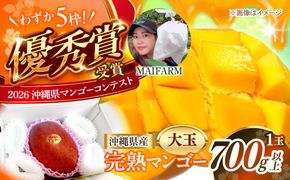 【先行予約】【優秀賞受賞】沖縄県産 完熟マンゴー 大玉 1個入り マンゴー 沖縄 果物 フルーツ ギフト 沖縄市 / MAIFARM[BCAN005]