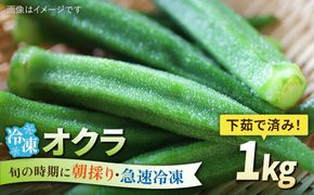 オクラ 1kg 冷凍 旬の時期に急速冷凍 【福岡県糸島産】 糸島市 / オーガニックナガミツファーム 野菜 おくら[AGE054]