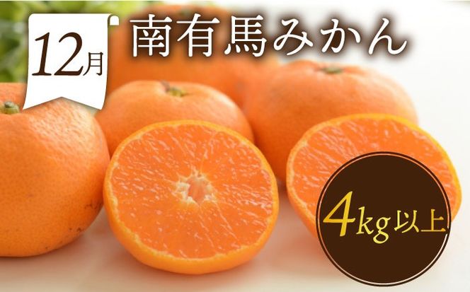 【年6回 偶数月コース】果物屋が選ぶ旬のフルーツ定期便 ハウスびわ メロン ぶどう (巨峰) みかん など / 南島原市 / 贅沢宝庫 [SDZ022]