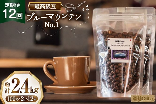 【12回定期便】 コーヒー豆 ブルーマウンテン 100g 2パック [珈琲Chiba 福岡県 筑紫野市 21761423] コーヒー 珈琲 豆 珈琲豆 セット ブルーマウンテンNo.1 ブルマン 豆のまま おいしい coffee bean beans 定期 定期便 12ヶ月 12回