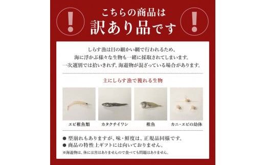 【容量が選べる】しらす 訳あり 1kg～2kg 釜揚げしらす シラス ごはん おかず チャーハン パスタ 料理 大きめ 産地直送 ランキング こだわり 鮮度 天塩 マル伊商店 愛知県 南知多町