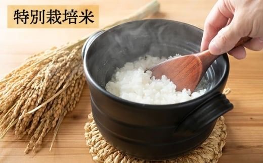 【☆畑直送☆栽培期間中農薬不使用！】お 米 2kg & 野菜 5品 の セット 糸島市 / オーガニックナガミツファーム 	[AGE035]