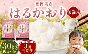 【 1ヶ月毎3回定期便 】 【 無洗米 】 はるかおり 10kg （ 5kg × 2袋 ） 計30kg お米 米 こめ コメ 白米 白飯 飯 ご飯 おにぎり 和食 国産 福岡県産 定期 定期配送