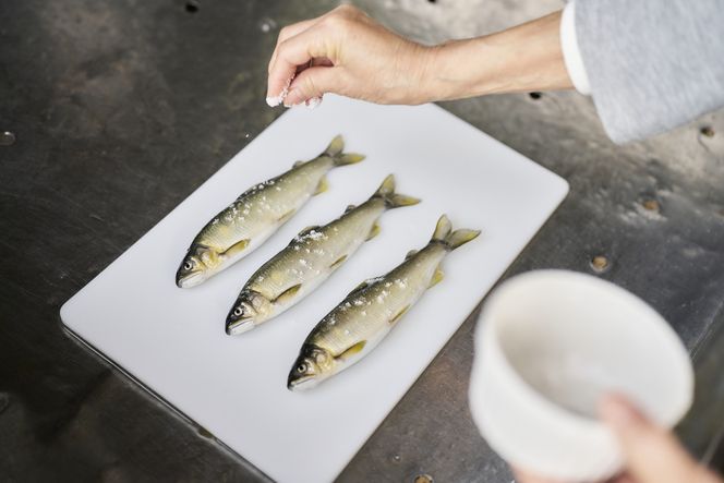 若あゆ（冷蔵配送）1kg（10尾～15尾）OGATA養殖技術研究所 南紀白浜 304018_FA01