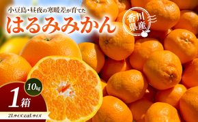 小豆島・昼夜の寒暖差が育てたはるみみかん 2L又はL 1箱(10kg) はるみ みかん 柑橘 フルーツ 果物 くだもの 香川 香川県 土庄 土庄町