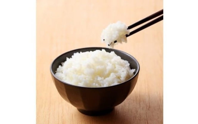 【令和7年産】 真庭市産コシヒカリ 米ぬか 牡蠣栽培米 『 一心良米 』 白米 20kg (5kg×4袋） / お米 いっしんりょうまい 岡山県 こしひかり 人気 ブランド 2025年産 【tkns013-01-cho】