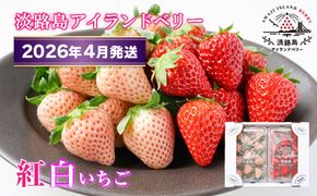 淡路島アイランドベリー　紅白いちご　淡雪/とちおとめ【2026年4月発送予約受付・お届け日指定不可】　[いちご]