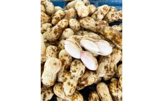 【2026年発送】事前予約 訳あり やみつき極うま “金の生落花生” 塩ゆで専用 1kg(500g×2袋）　H105-143