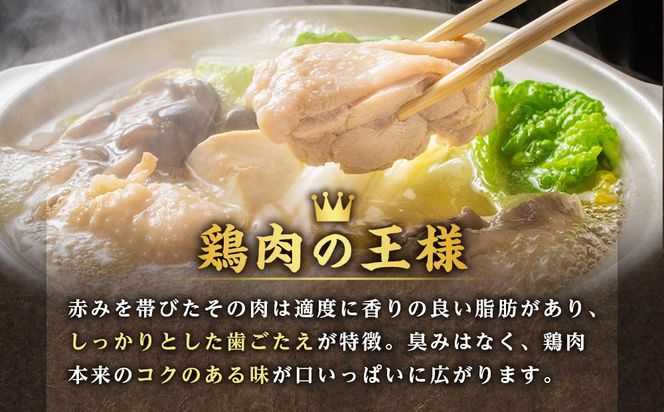 純系名古屋コーチン　モモ・ムネ・ササミセット【カット済のボリューム1.2kg】 232238_DL001