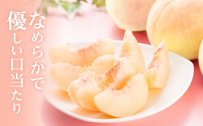 桃 2026年 先行予約 岡山 白桃 ロイヤル 4～6玉 約1kg JA おかやま のもも（早生種・中生種） もも モモ 岡山県産 国産 フルーツ 果物 ギフト 甘い 美味しい 産地直送 贈り物 高糖度 