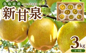 1256.【2026年度発送先行予約】数量限定　新甘泉　3kg 313726_CS002