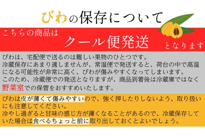 AH093 【期間限定発送】長崎県産 ハウスびわ 約500g 化粧箱入り [ フルーツ 果物 くだもの びわ ビワ 枇杷 数量限定 季節限定 初夏 冷蔵 長崎県 島原市 ]