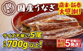 〈最短翌日発送〉【訳あり】さかい河岸水産 国産 うなぎ 蒲焼き 5尾 700g以上！ ※サイズ不揃い 小分け K2672