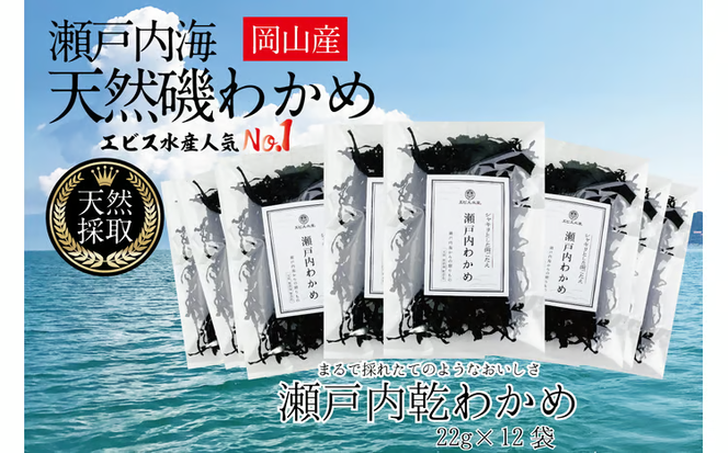 風味豊かな 瀬戸内 わかめ 22g×12袋 エビス水産【岡山 瀬戸内海 天然 カットわかめ】 [№5735-1279]