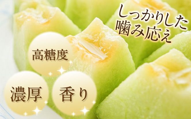 【2025年5月〜発送】【さわやかな味！ 】タカミメロン 1玉 (約1kg) / メロン 南島原市 / 南島原果物屋 [SCV005]