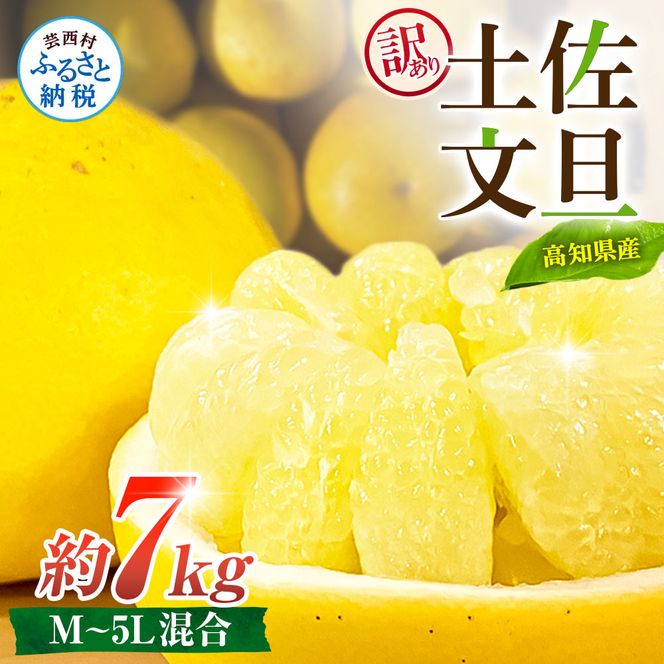 先行予約 訳あり 土佐文旦 家庭用 約7kg 約10～22玉 M～5L混合サイズ 高知県産 文旦 ブンタン ぶんたん 柑橘 かんきつ 蜜柑 みかん 柑橘類 フルーツ 果物 くだもの デザート おやつ 爽やか 甘い ジュース スイーツ 美味しい おいしい