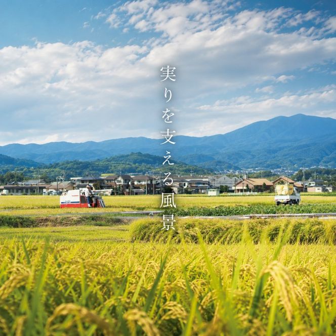 フリーズドライ 柳屋本店 だしいただきます みそ汁 10食入×2箱 計20食分 味噌汁