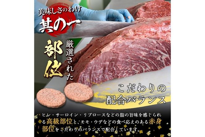 おおいた和牛 100% 手ごね 生ハンバーグ (計900g・150g×6個) 国産 牛肉 肉 霜降り A4 和牛 ブランド牛 冷凍 大分県 佐伯市【DH267】【(株)ネクサ】