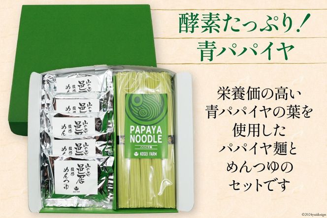 AI131 パパイヤ麺 5食 セット めんつゆ付 [ 麺 乾麺 手延べ麺 素麺 手延べそうめん 冷麺 にゅうめん にゅう麺 無農薬 青パパイヤ ヌードル コウセイプランニング 長崎県 島原市 ]