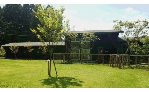 ＜犬と泊まれるペンション「wanvino」5000円分宿泊券＞ K15_0005_1						 