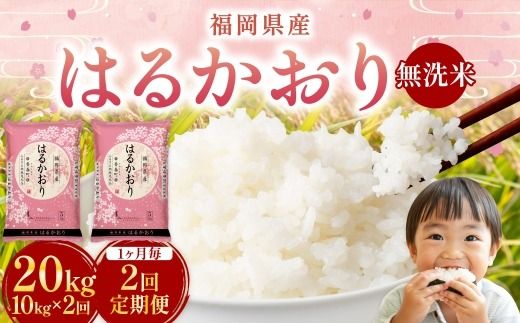 【 1ヶ月毎2回定期便 】 【 無洗米 】 はるかおり 10kg （ 5kg × 2袋 ） 計20kg お米 米 こめ コメ 白米 白飯 飯 ご飯 おにぎり 和食 国産 福岡県産 定期 定期配送