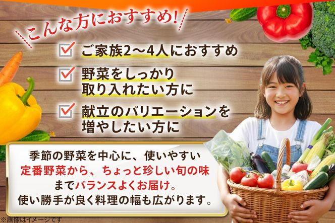 AJ314 季節の野菜・果物セット 8～10品 しそジュース付き [ 野菜 詰合せ 長崎県 島原市 ]