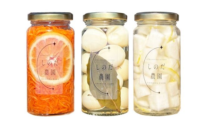 野菜ビネガーサラダ 3本（うずら・ゆず大根・にんじん） ビネガーサラダ 常備菜 おかず 愛西市 / しのだ農園-SHINODA FARM-[AECE010]