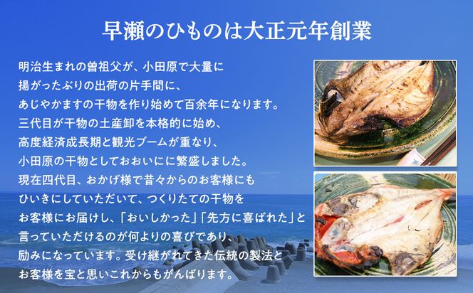 超ひものセット【惣菜 魚 干物 ひもの お取り寄せ 御中元 お中元 お歳暮 父の日 母の日 贈り物 家庭用 自宅用 贈答品 贈答用 ギフト 定番 朝食 朝ごはん あじ いぼ鯛 かます かれい ホッケ いか 金目鯛 さば 神奈川県 小田原市 】 142069_AC002