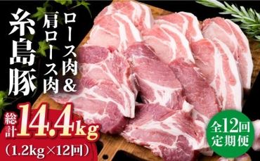 【全12回定期便】糸島豚ロース肉6枚 肩ロースカツ5枚 合計11枚セット《糸島》【糸島ミートデリ工房】 [ACA231]