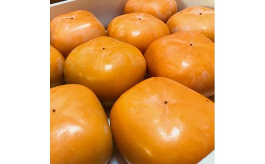 【先行予約】【和歌山特産品】クイーンパーシモン　4L～7Lサイズ　約4kg入り【GO-06】　※2026年10月下旬～11月上旬頃に順次発送予定 ※着日指定不可【ard061C】