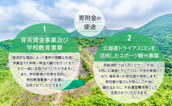洞爺湖町 寄附のみの応援受付 1,000円コース（返礼品なし 寄附のみ 1000円） 支援 自治体支援 お礼の品なし 北海道 洞爺湖町の発展 ふるさと応援 ふるさと支援 