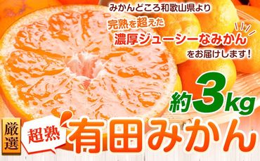 ＜先行予約＞厳選　超熟有田みかん3kg+90g（傷み補償分）【自分史上一番みかん】【光センサー選果】池田鹿蔵農園@日高町（池田農園株式会社）《11月上旬-12月末頃出荷》和歌山県 日高町【配送不可地域あり】---wsh_idn68_11j12m_24_10000_3kg---